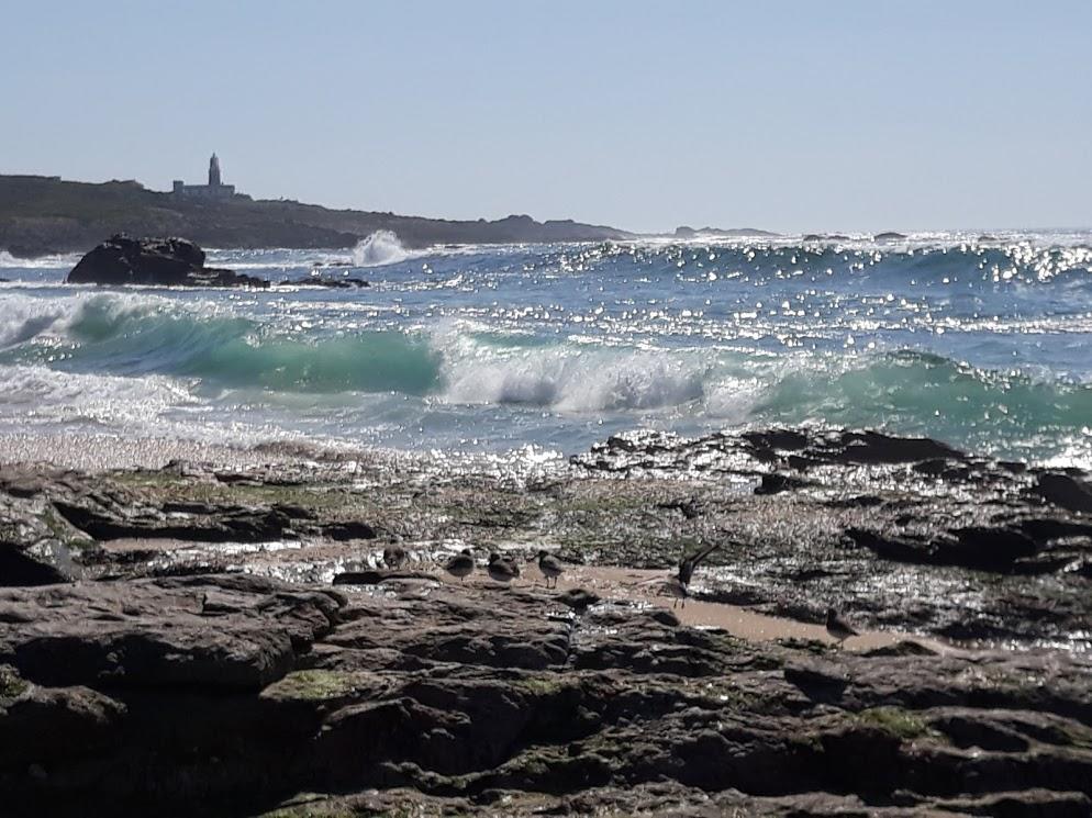 Hostal Balieiros Corrubedo Eksteriør billede